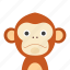 face, monkey 