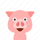 face, pig