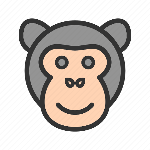 Ape, face, forest, gorilla, monkey, nature, wildlife icon - Download on  Iconfinder