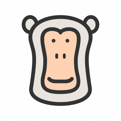 Africa, animal, ape, baboon, baboons, face, park icon - Download on Iconfinder