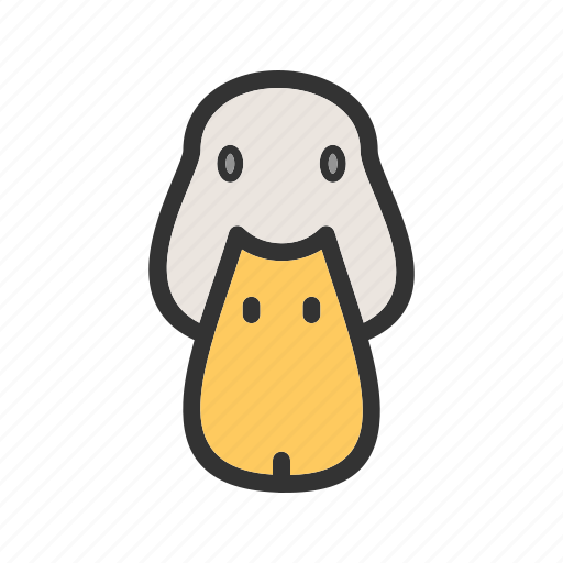 Animal, beautiful, cute, duck, ducks, water, wild icon - Download on Iconfinder