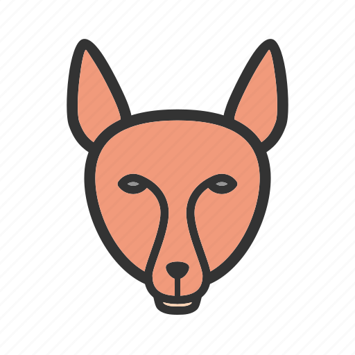 Animal, fox, jungle, mammals, reynard, snow, wild icon - Download on Iconfinder