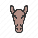 animal, face, fast, horse, horses, race, riding