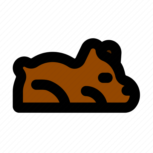 Bear, head, animal, nose icon - Download on Iconfinder