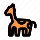 giraffe, head, animal, wild, herbivore