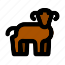 goat, head, animal, horn, herbivore