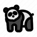 panda, head, animal, asia