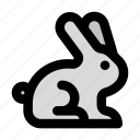 rabbit, head, animal, carrot