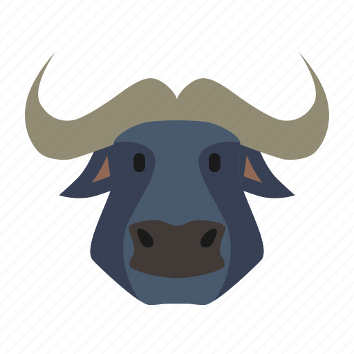 Africa, animal, buffalo, desert, zoo icon - Download on Iconfinder