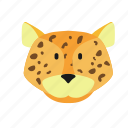 animal, cheetah, leopard, speed