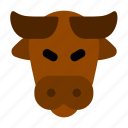 bull, animal, mammal, horn