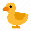 duck, head, animal, beak, benign