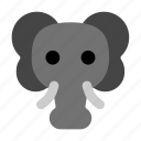 elephant, animal, ivory, wild