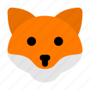 fox, animal, carnivore, wild