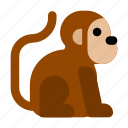 monkey, head, animal, zoo