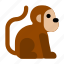 monkey, head, animal, zoo 