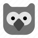 owl, animal, nocturnal, bird