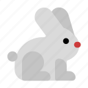 rabbit, head, animal, carrot
