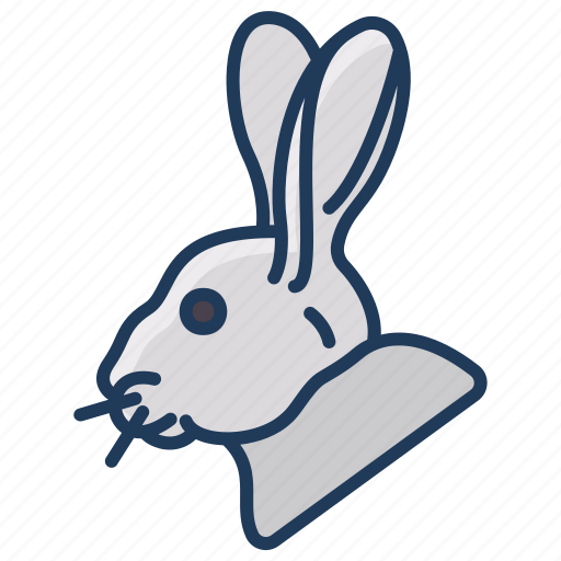 Rabbit icon - Download on Iconfinder on Iconfinder