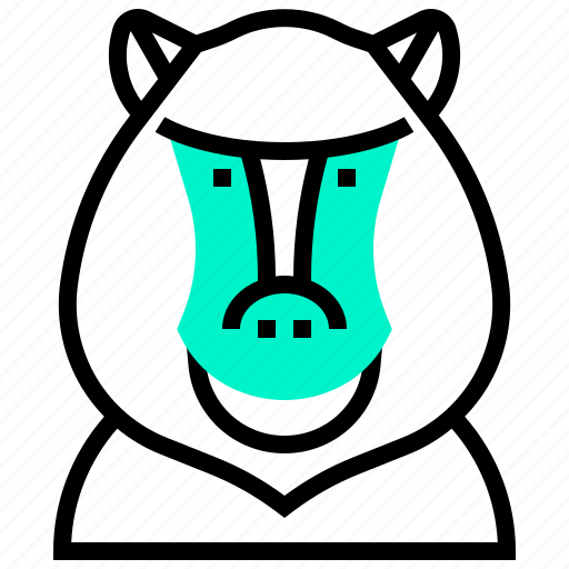 Animal, ape, baboon, monkey, primate icon - Download on Iconfinder