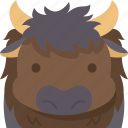bison, bull, wildlife, horn, cattle