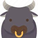 buffalo, bull, cattle, livestock, farm