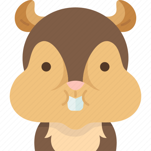 Chipmunk, rodent, animal, furry, cute icon - Download on Iconfinder