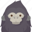 gorilla, ape, primate, wildlife, animal 