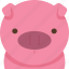 pig, pork, domestic, farm, livestock 