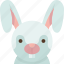 rabbit, bunny, pet, cute, furry 