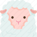 sheep, wool, lamb, livestock, farm