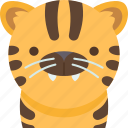 tiger, leopard, mammal, carnivore, predator