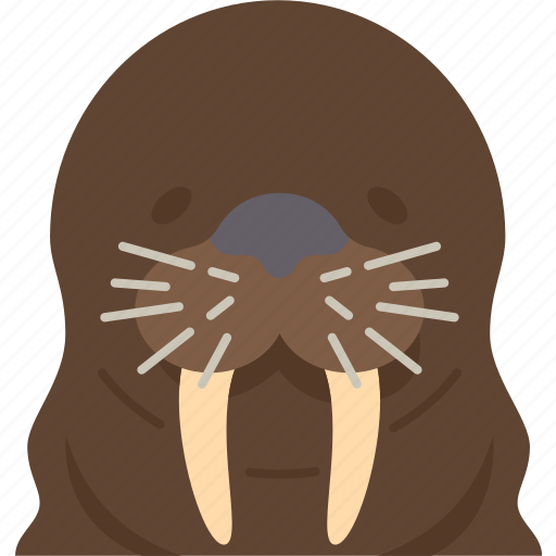 Walrus, seal, arctic, wildlife, animal icon - Download on Iconfinder