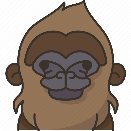Baboon, monkey, wildlife, mammal, safari icon - Download on Iconfinder