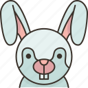 rabbit, bunny, pet, cute, furry