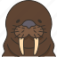walrus, seal, arctic, wildlife, animal 
