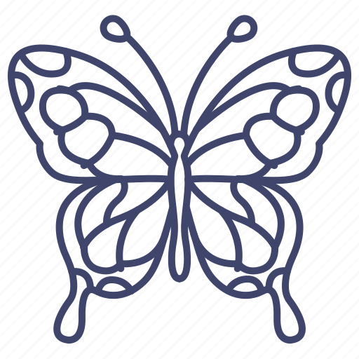 Beautiful, butterfly, insect, moth icon - Download on Iconfinder