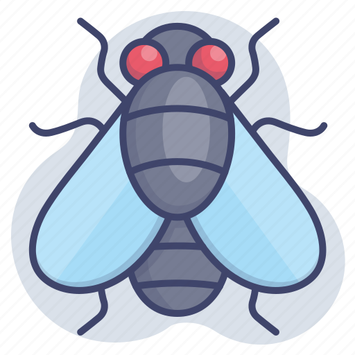 Bug, flies, fly, insect icon - Download on Iconfinder