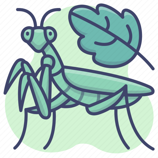 Grassshopper, insect, mantis, praying icon - Download on Iconfinder