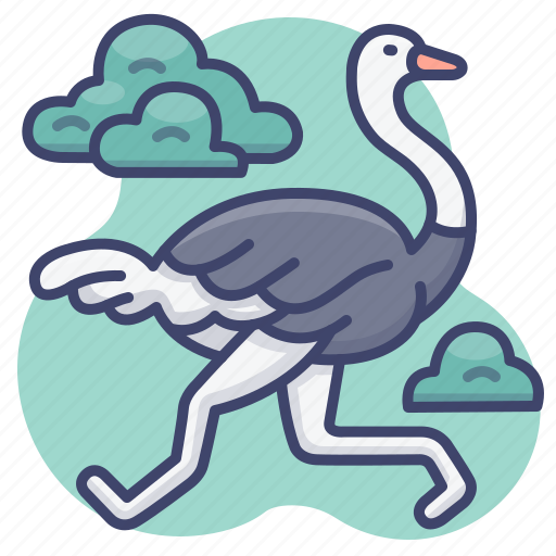 Animal, ostrich, wild, zoo icon - Download on Iconfinder