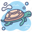animal, sea, tortoise, turtle 