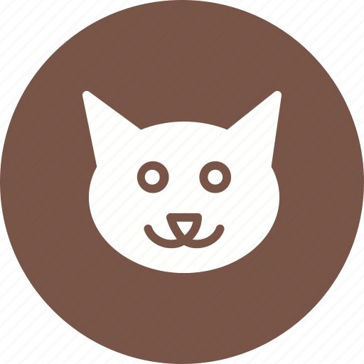 Animal, cat, cats, cute, eyes, face, sweet icon - Download on Iconfinder