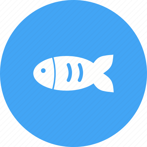 Aquarium, fish, golden, goldfish, orange, pet, tank icon - Download on Iconfinder