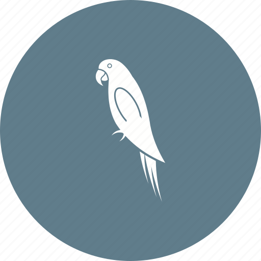 Bird, cute, flying, green, home, parrot, pet icon - Download on Iconfinder