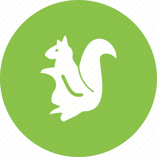 Animal, brown, cute, mammal, red, rodent, squirrel icon - Download on Iconfinder