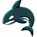 orca, whale, killer, animal, team, mascot, sport