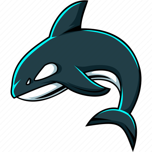 Orca, whale, killer, animal, team, mascot, sport icon - Download on Iconfinder