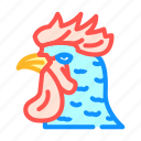 rooster, animal, zoo, pet, face, farm
