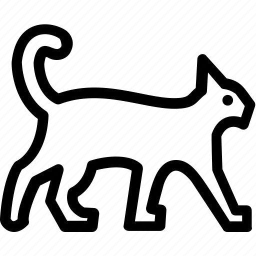 Animal, lion, panther, wild animal, zoo icon - Download on Iconfinder