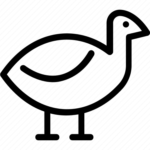 Bird, duck, goose, seabird, stork icon - Download on Iconfinder